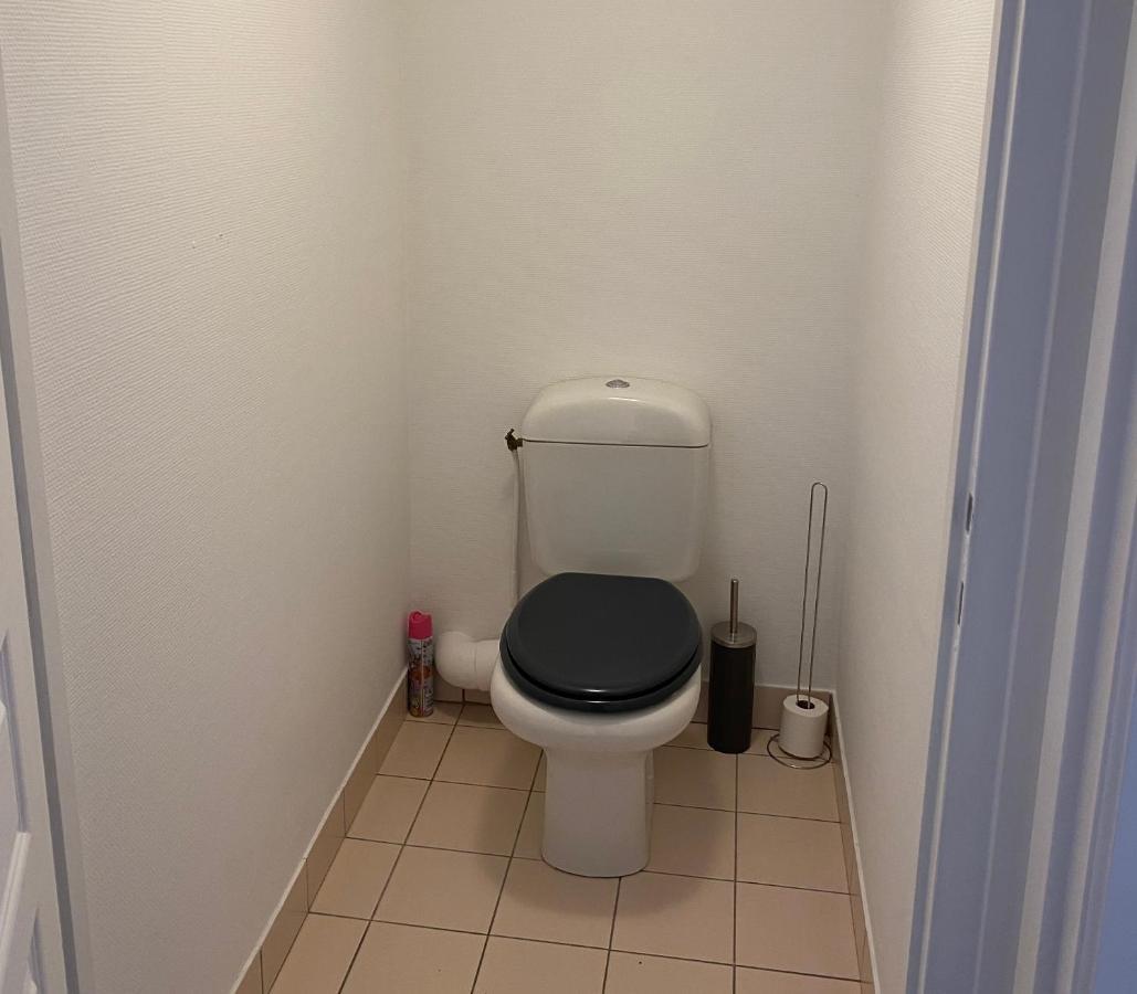 Charmant Appartement En Bord De Cher Сант-Авертан Екстериор снимка